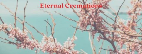 Many Cremation Options